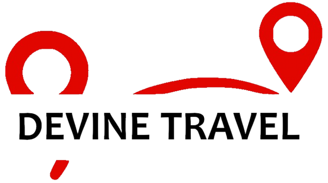 devine transfers logo